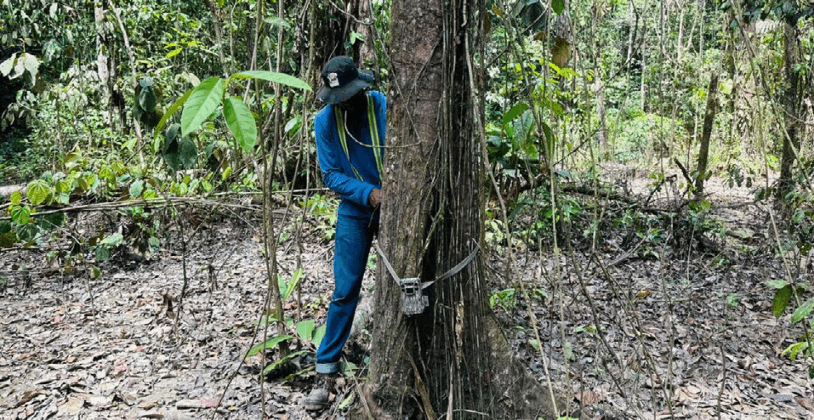 1730027746916676.png 图片1_副本 (1).png