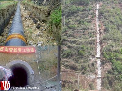 Bwin��Ӯ���ʡ�(�й�)Ψһ�ٷ���վ