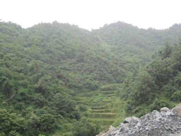 Bwin��Ӯ���ʡ�(�й�)Ψһ�ٷ���վ