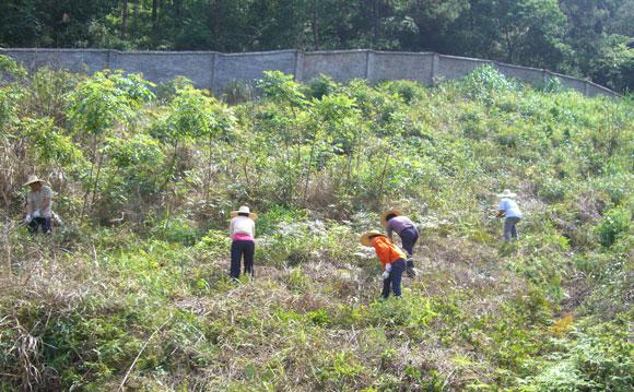 Bwin��Ӯ���ʡ�(�й�)Ψһ�ٷ���վ